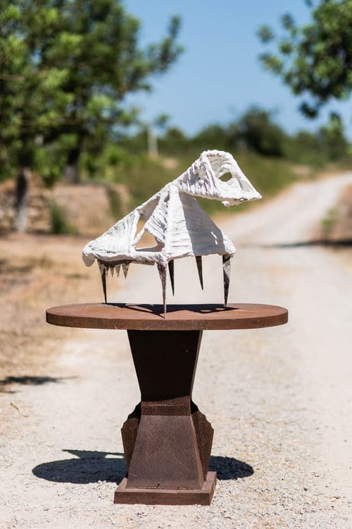 Husk with visitor - Thumbnail 3