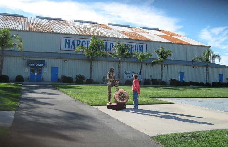 WASP- Colleene - Hero Image