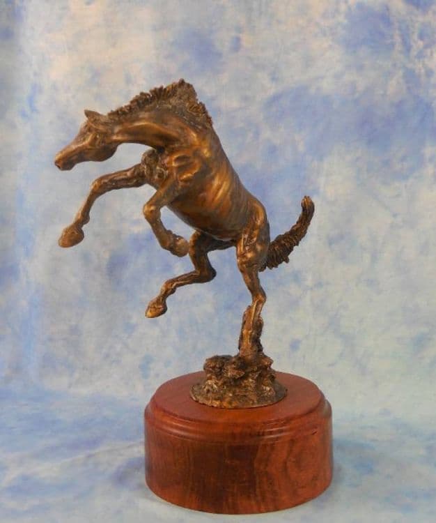 Spirit of Freedom - Thumbnail 2