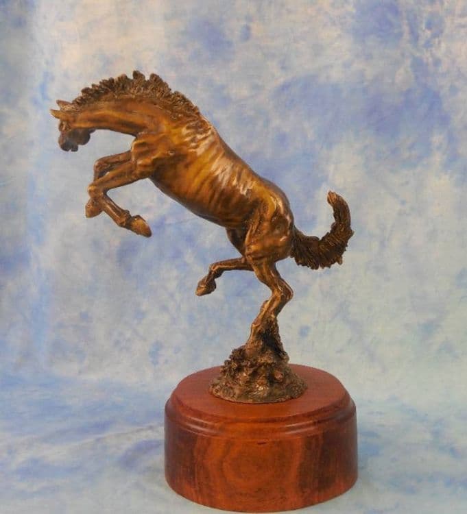 Spirit of Freedom - Thumbnail 3