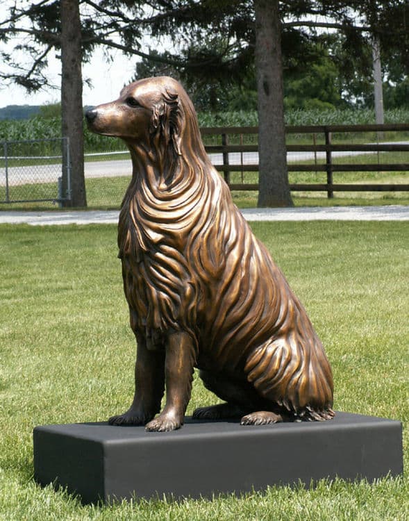 Bo - Golden Retriever Dog - Thumbnail 2