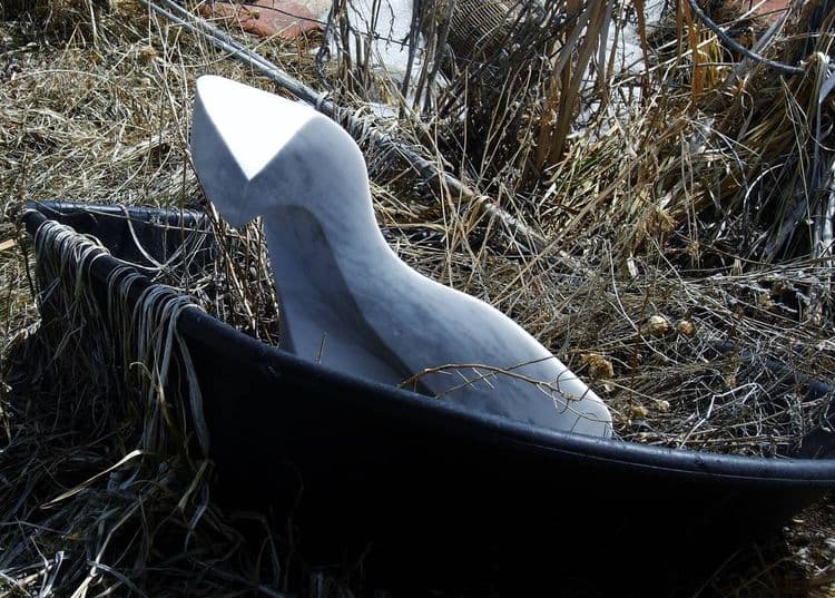 Terrible Lizard - Thumbnail 4