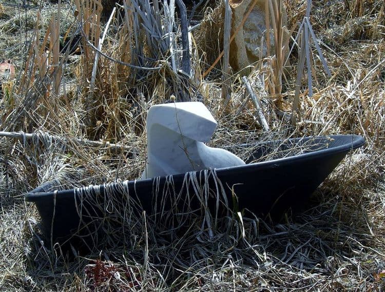 Terrible Lizard - Thumbnail 5