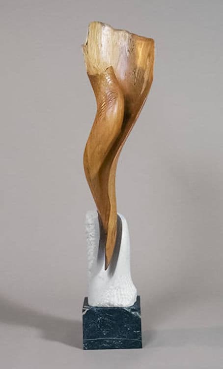 Spiral Form - Hero Image