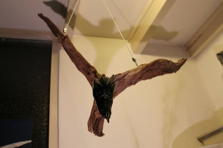 Dragon flies - Thumbnail 2