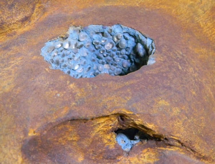 Subterranean Beast - Thumbnail 4