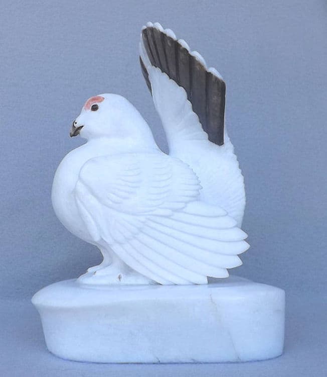 Willow Grouse - Thumbnail 3