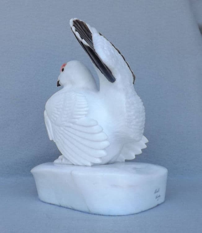 Willow Grouse - Thumbnail 4