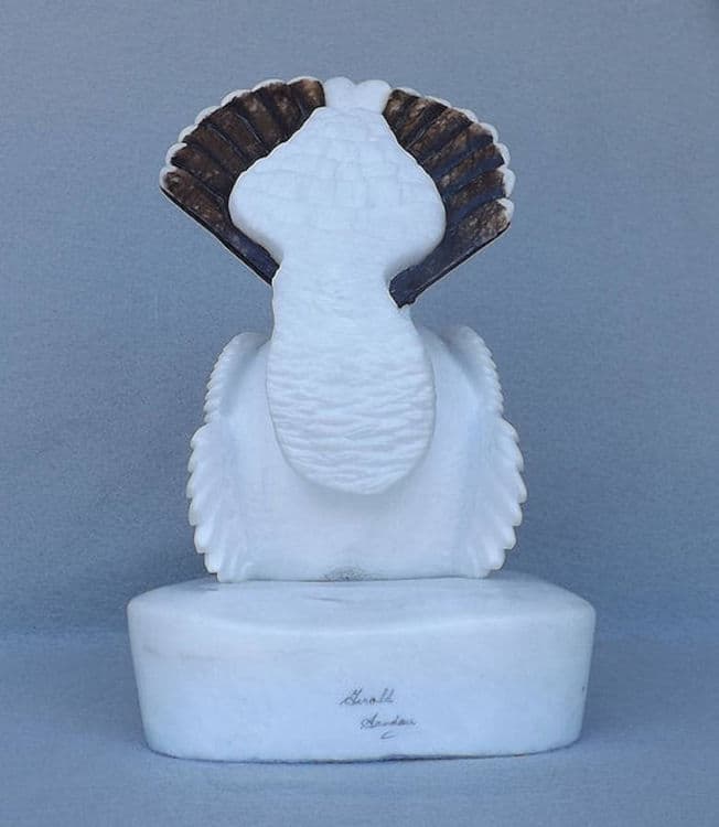 Willow Grouse - Thumbnail 5