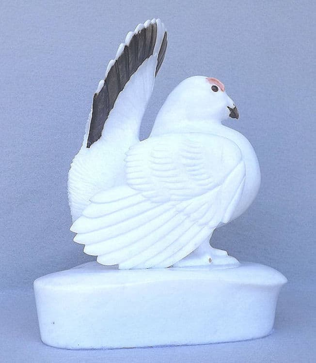 Willow Grouse - Thumbnail 6