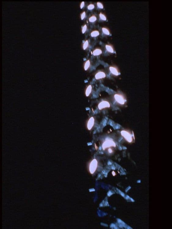 PARADIGM - Thumbnail 4