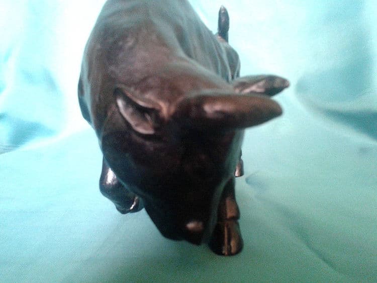 Fighter - Thumbnail 4