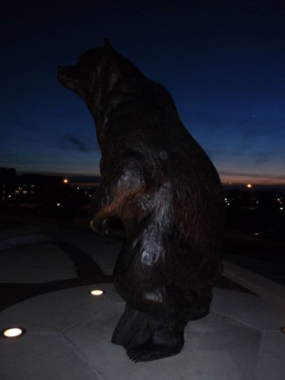 Northern Vision - Thumbnail 2