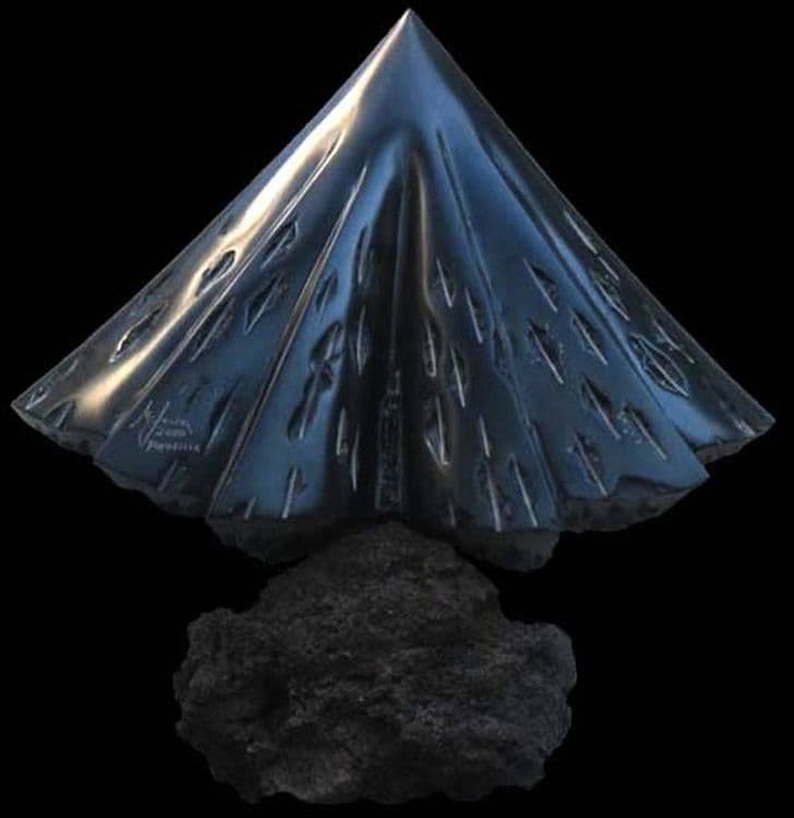 PHOENIX - Hero Image