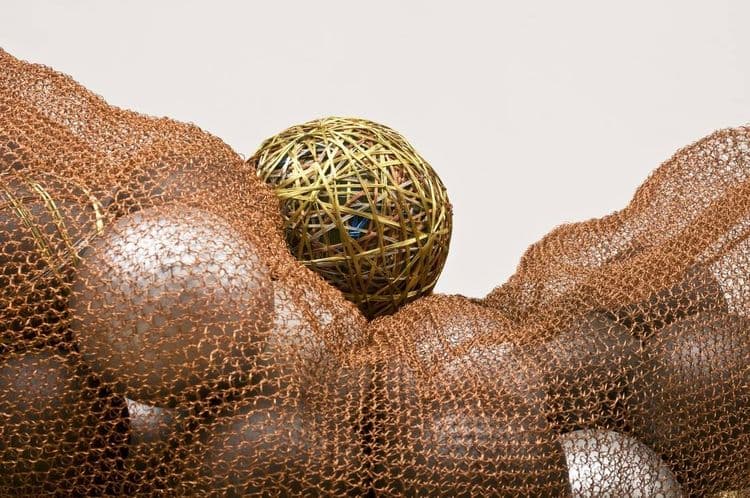 Seed Pod 2 - Thumbnail 3