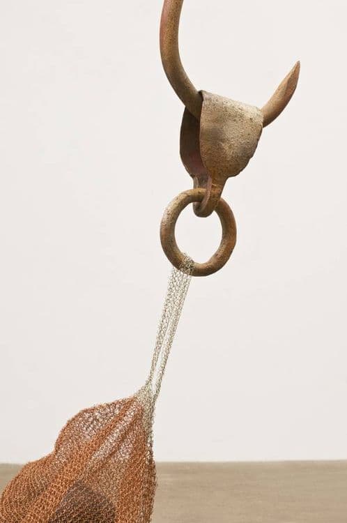 Seed Pod 2 - Thumbnail 4