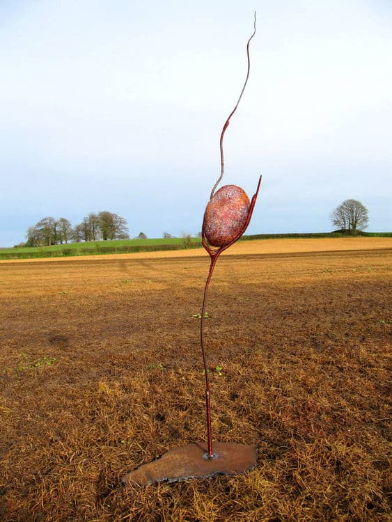 Nestling Cocoon - Hero Image