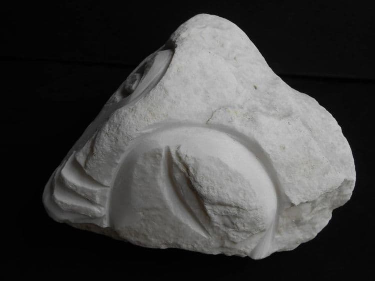 Marcus - Thumbnail 2