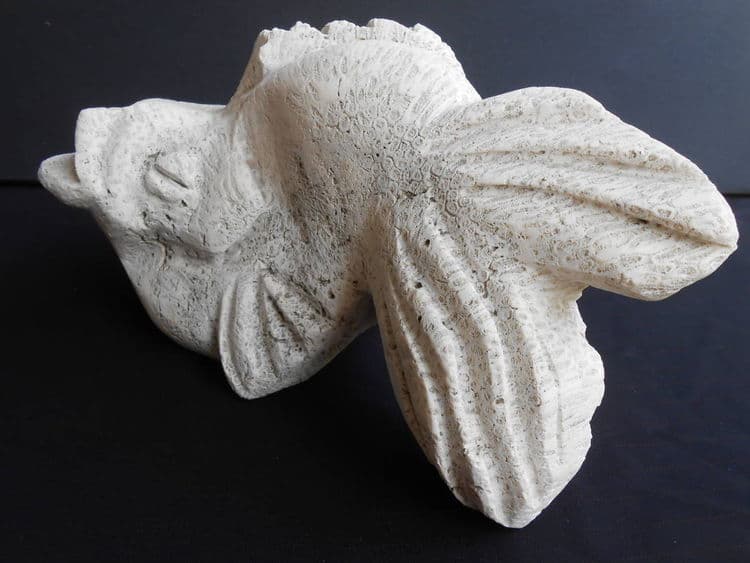 I Am A Beauty - Thumbnail 2