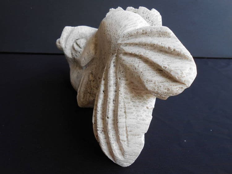 I Am A Beauty - Thumbnail 6