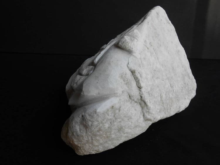 Bernice - Thumbnail 4