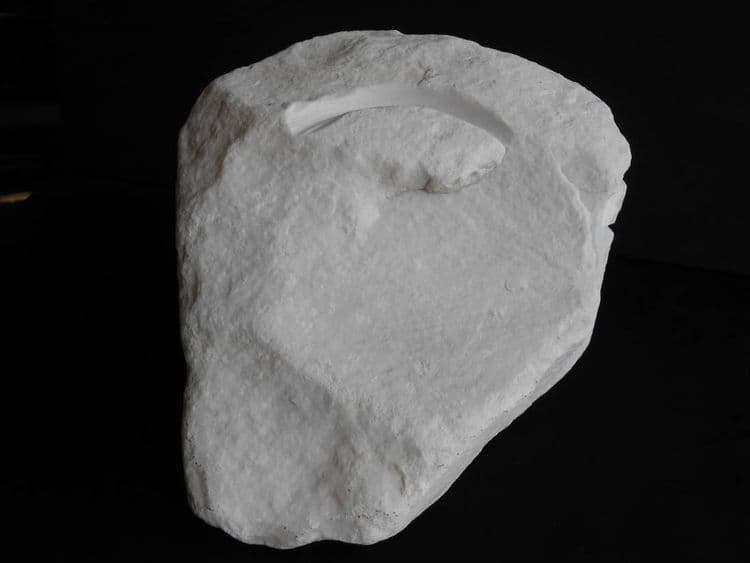 The Gardener - Thumbnail 4