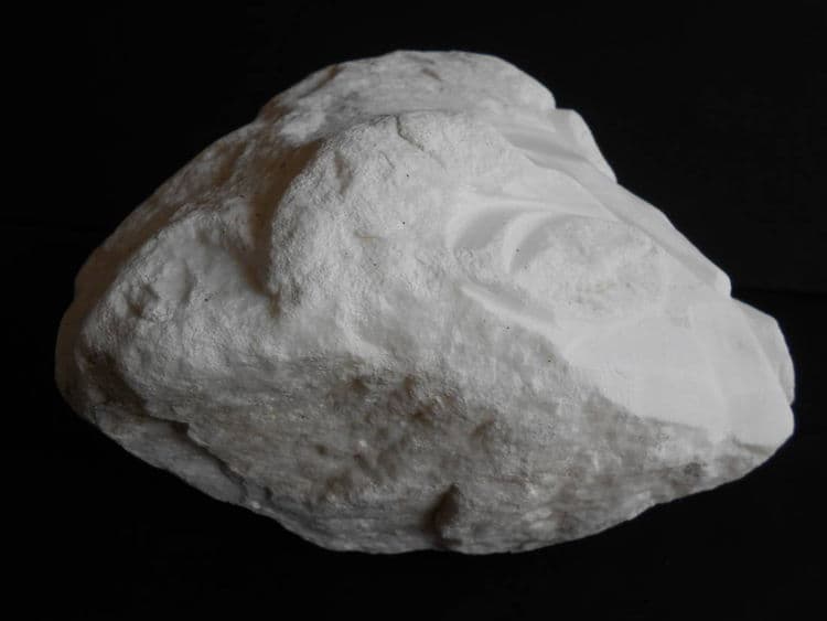 Pizza Guy - Thumbnail 4