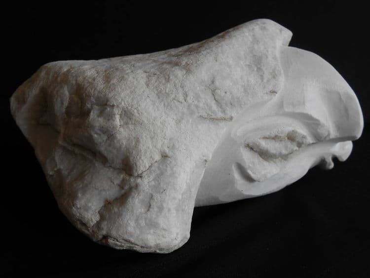 The Gatekeeper - Thumbnail 4