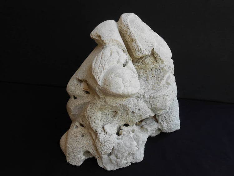 Mother With Babies - Thumbnail 3