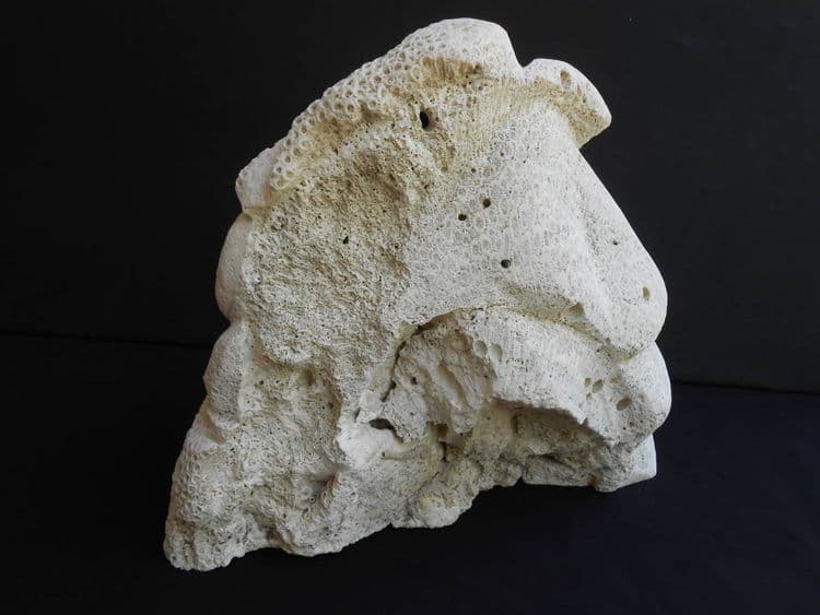 Mother With Babies - Thumbnail 5