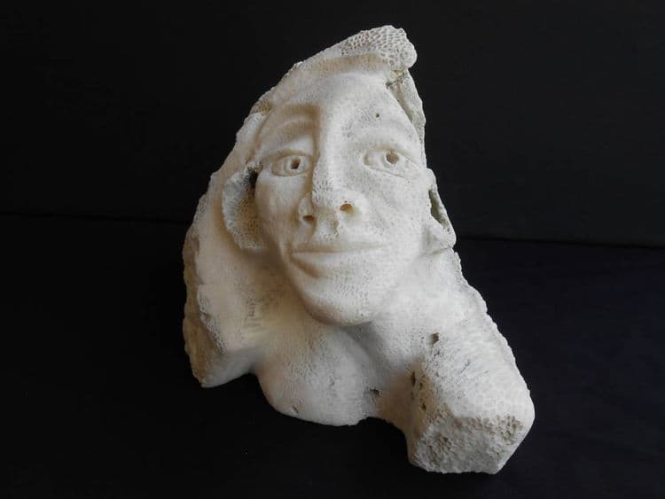 Sea Beauty - Hero Image