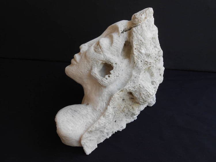 Sea Beauty - Thumbnail 2