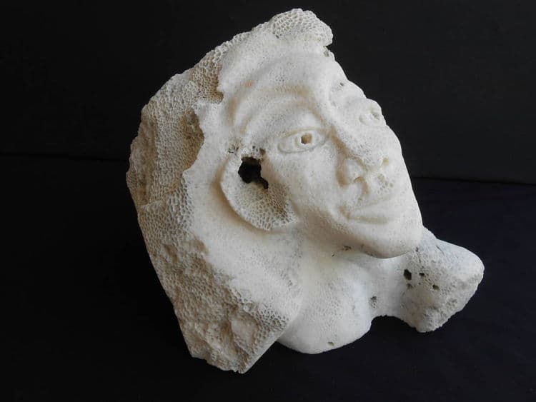 Sea Beauty - Thumbnail 3