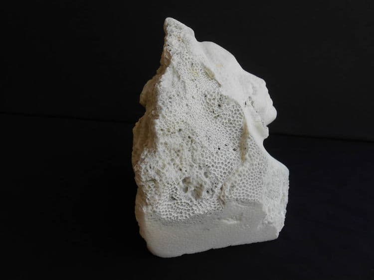 Sea Beauty - Thumbnail 4