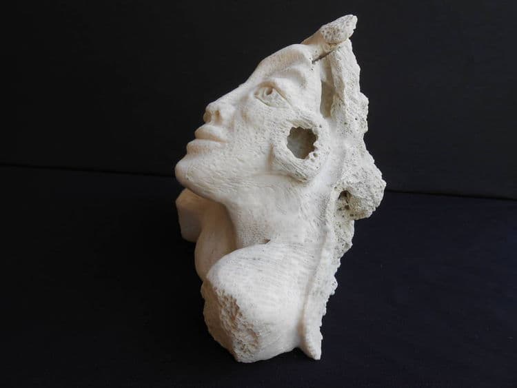 Sea Beauty - Thumbnail 6