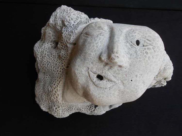 The Wink - Hero Image