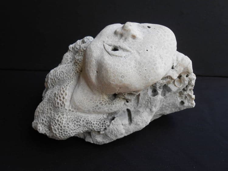 The Wink - Thumbnail 2