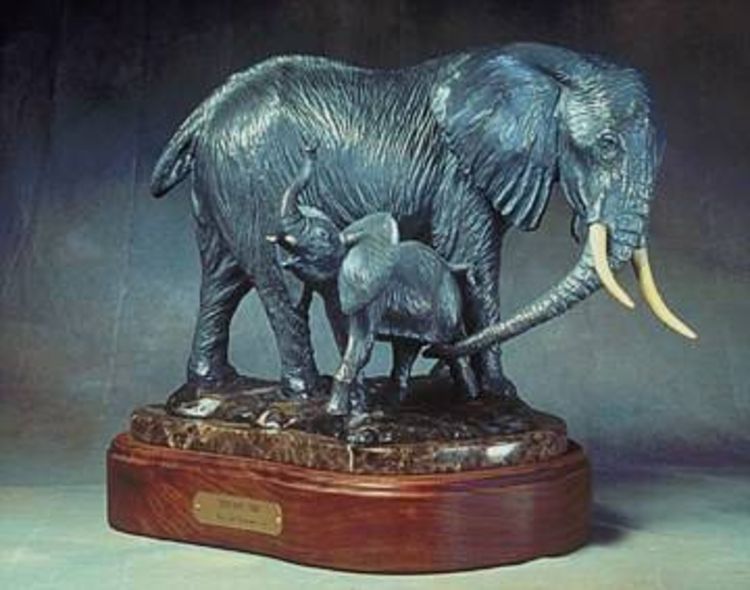 Wildlife - Born Defiant